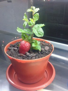 Uniknya Es Krim Dalam Pot, Mau?