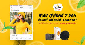 ciri ciri buah yuzu citrus