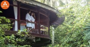 spa ubud bali