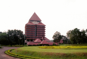 international university