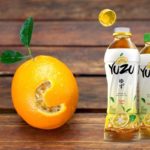 Kesegaran Minuman Yuzu Lemon