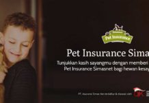 asuransi hewan