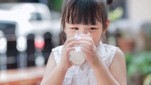 dancow full cream 800gr